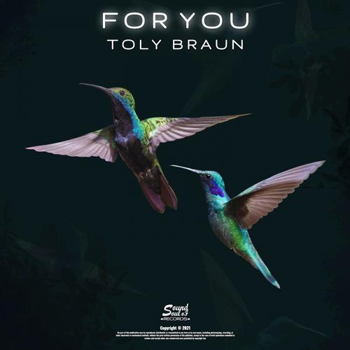 Toly Braun - For You  (2021)